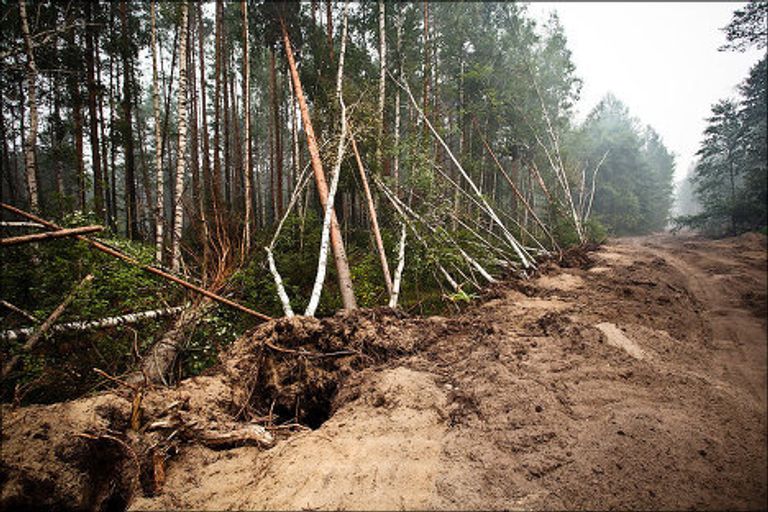 Добровольцы в Рязанской области Добровольцы в Рязанской области