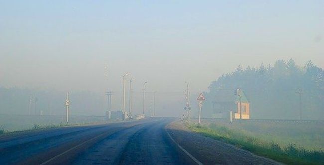 Леса горят под Тамбовом