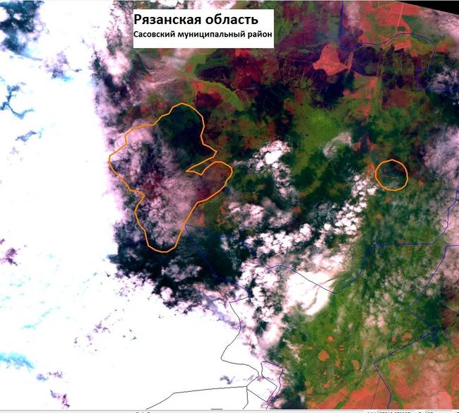 Спутниковые фотографии на очаги возгорания в Рязанской области