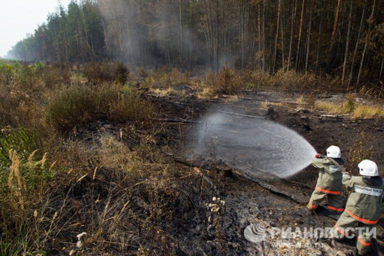 Тушение лесных пожаров в Московской области Тушение лесных пожаров в Московской области