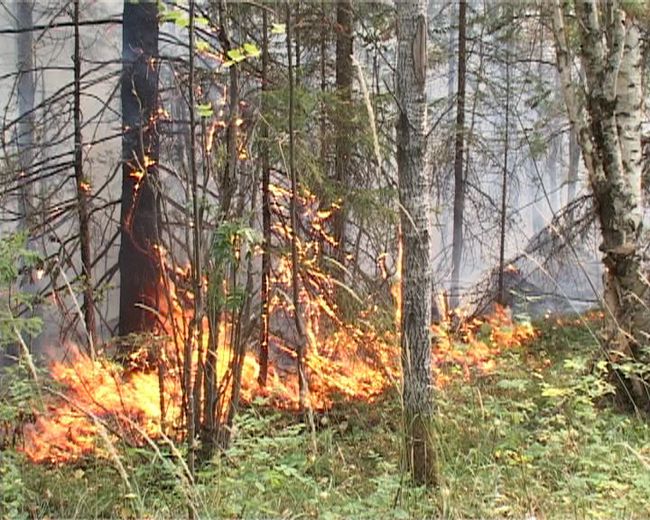  Заповедник Денежкин камень горит уже почти месяц