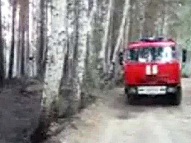 Лесной пожар возле детского оздоровительного лагеря в Челябинской области