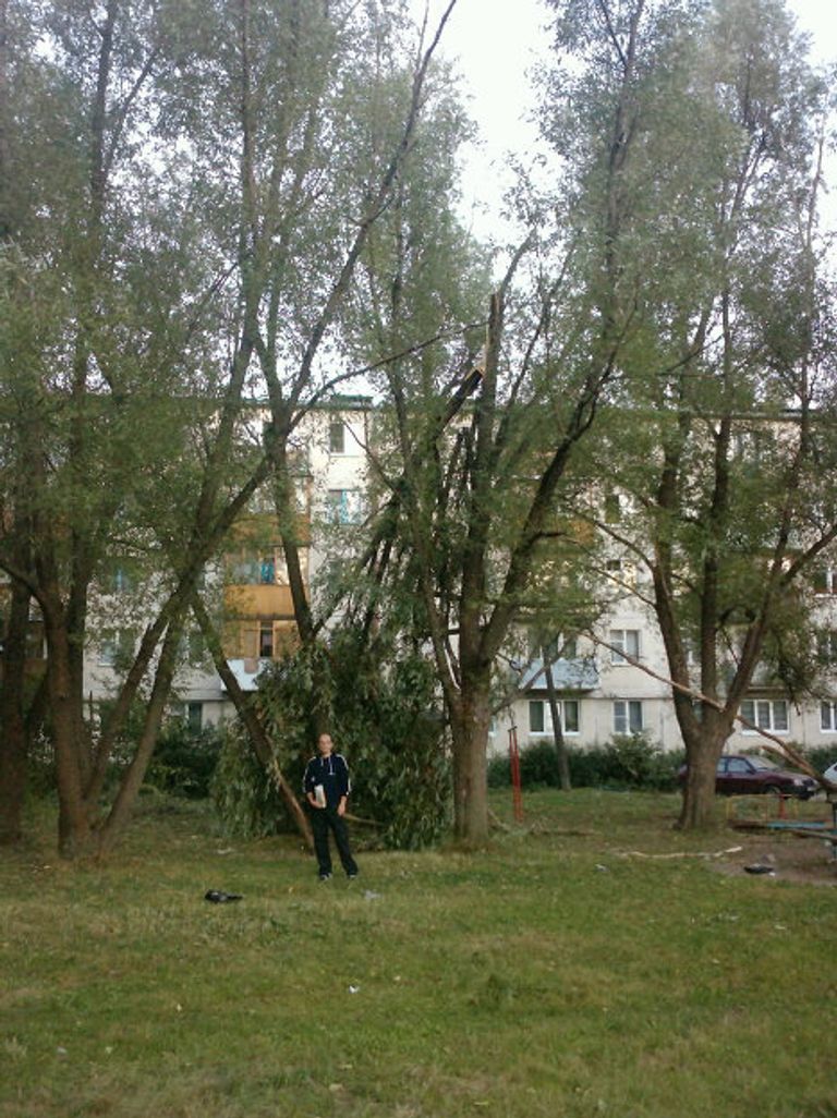 Ураган в Тосно Ураган в Тосно