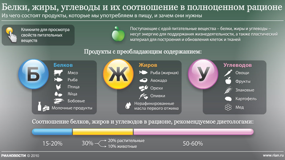Белки, жиры, углеводы и их соотношение в полноценном рационе Белки, жиры, углеводы и их соотношение в полноценном рационе