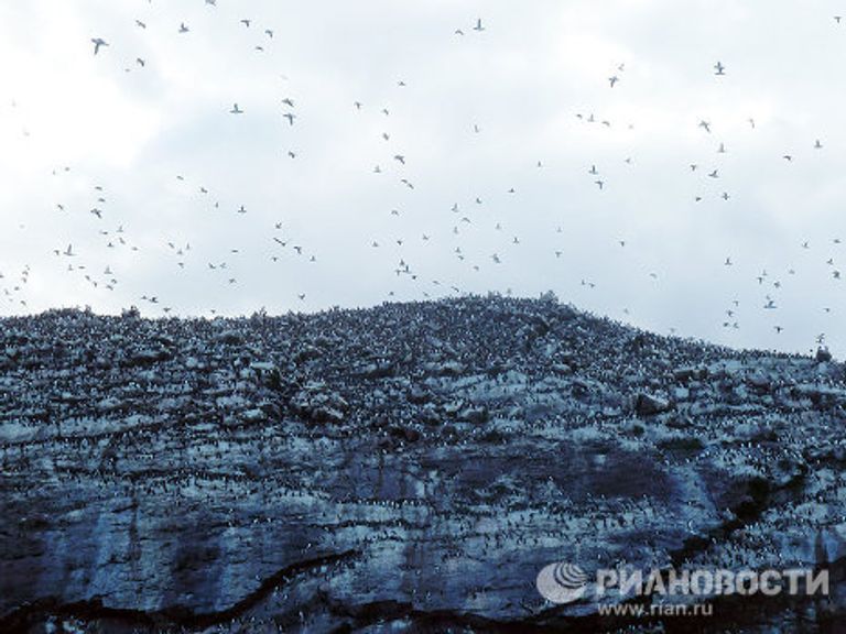 ФОТОПУТЕШЕСТВИЕ С РИА НОВОСТИ: Ньюфаундленд - канадский край света ФОТОПУТЕШЕСТВИЕ С РИА НОВОСТИ: Ньюфаундленд - канадский край света