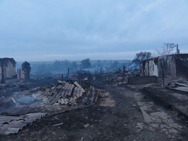 Последствия пожаров в Волгоградской области Последствия пожаров в Волгоградской области