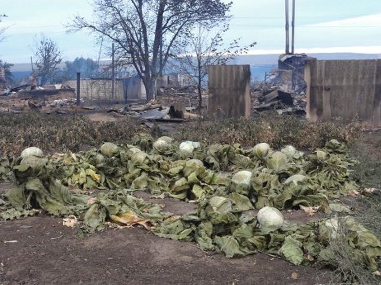 Последствия пожаров в Волгоградской области