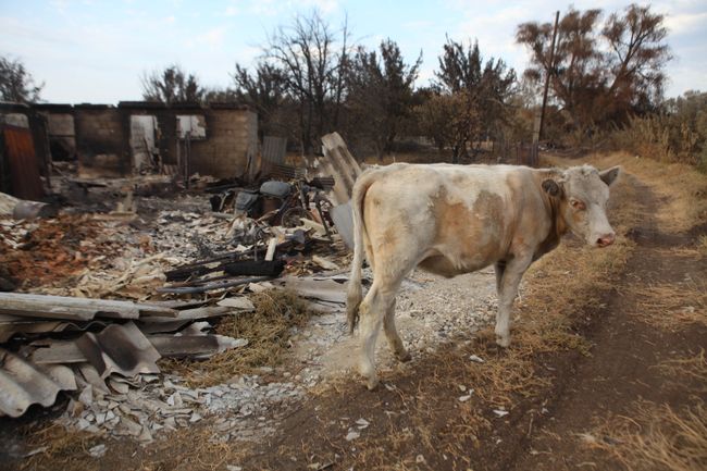 Сгоревшее село в Волгоградской области