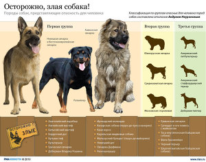 Осторожно! злая собака