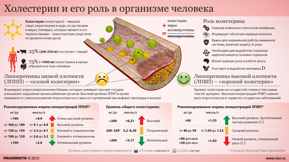 Холестерин и его роль в жизни человека