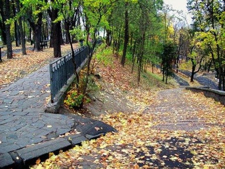Золотая осень Золотая осень