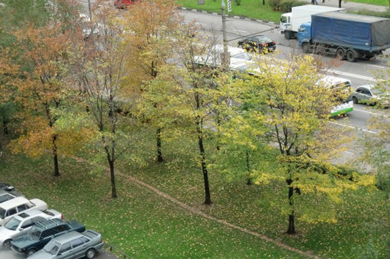 Золотая осень Золотая осень