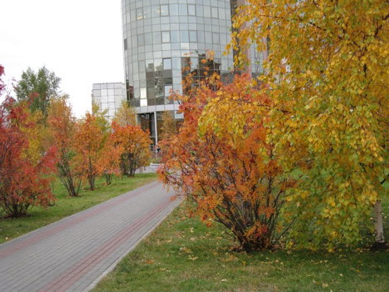 Золотая осень Золотая осень