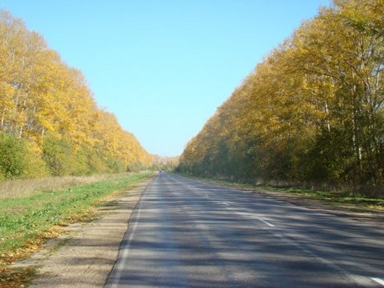 Золотая осень Золотая осень