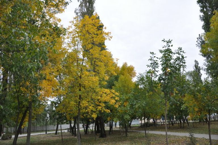 Золотая осень, Таганрог Золотая осень, Таганрог