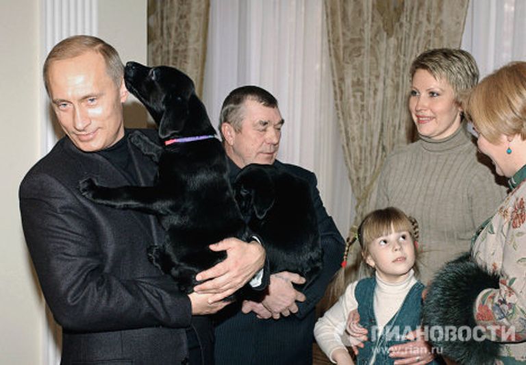Щенки лабрадора Кони - подарок В.Путина А.Белевцу и Кате Щенки лабрадора Кони - подарок В.Путина А.Белевцу и Кате