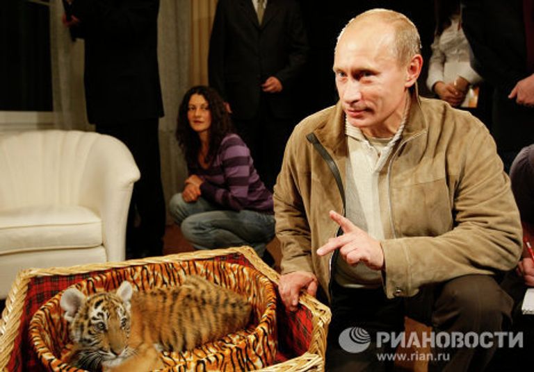 Владимир Путин познакомил журналистов с подаренным ему тигренком Владимир Путин познакомил журналистов с подаренным ему тигренком