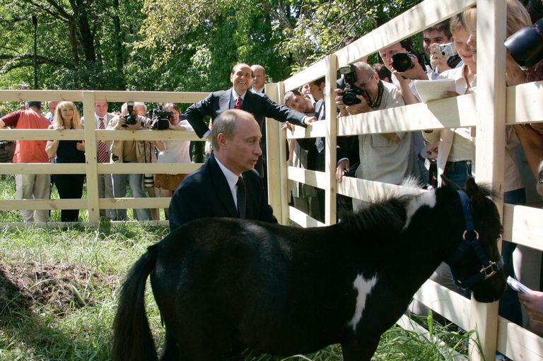 В.Путин, С.Берлускони и пони президента России В.Путин, С.Берлускони и пони президента России