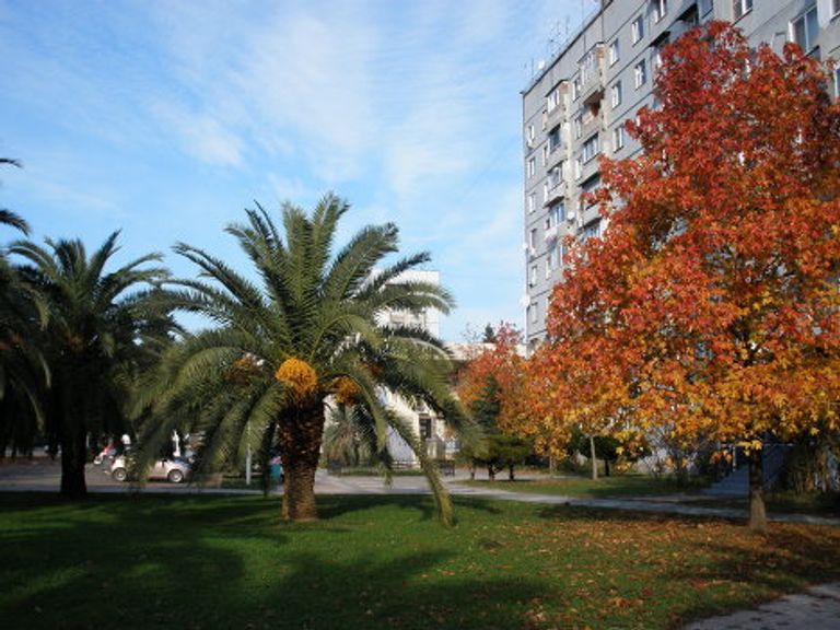 Золотая осень в Адлере Золотая осень в Адлере