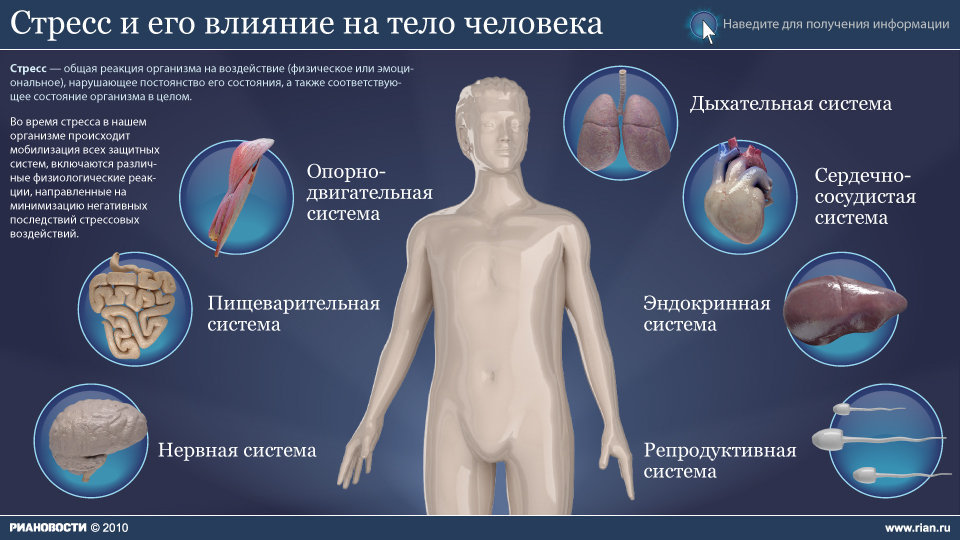 Стресс и его влияние на тело человека