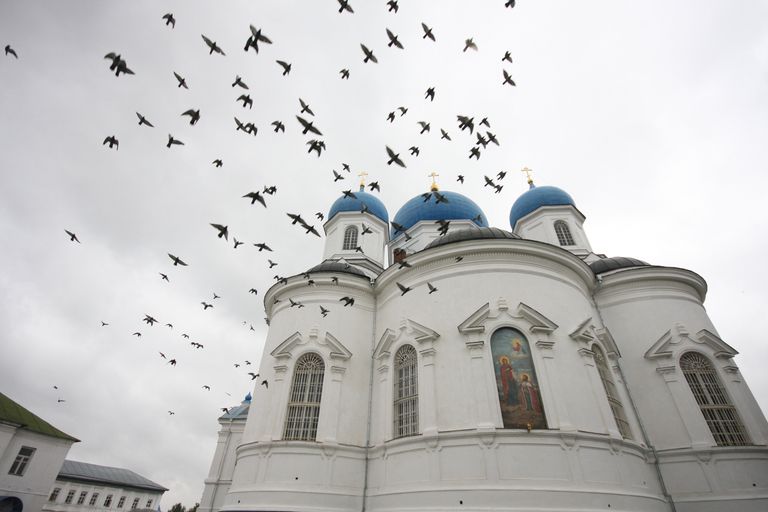 Свято-Боголюбский женский монастырь Свято-Боголюбский женский монастырь