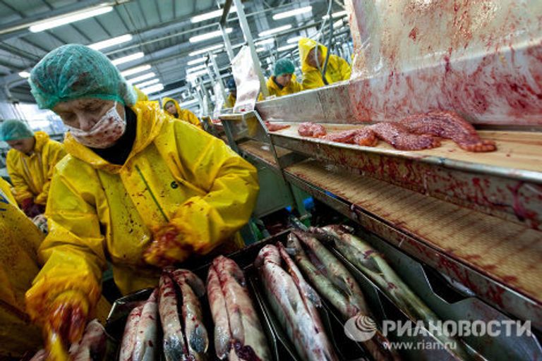 Курильские острова Курильские острова