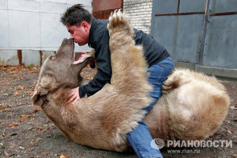 Медведь Степан в питомнике Лосиного острова Медведь Степан в питомнике Лосиного острова