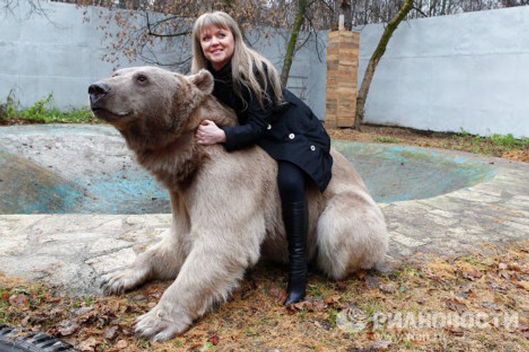 Медведь Степан в питомнике Лосиного острова Медведь Степан в питомнике Лосиного острова