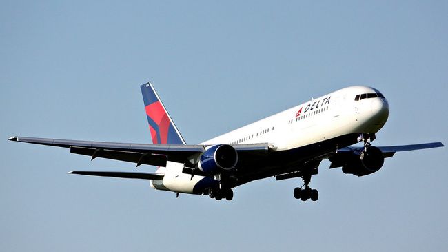 Самолет авиакомпании Delta Airlines. Архивное фото