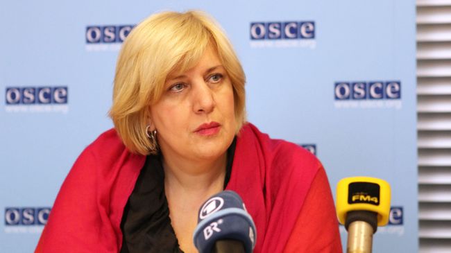 Представитель Организации по безопасности и сотрудничеству в Европе (ОБСЕ) по вопросам свободы СМИ Дунья Миятович. Архивное фото