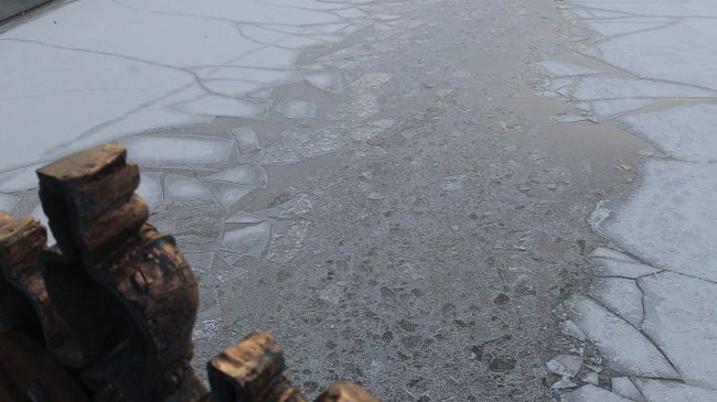 Мороз в Москве. Архив