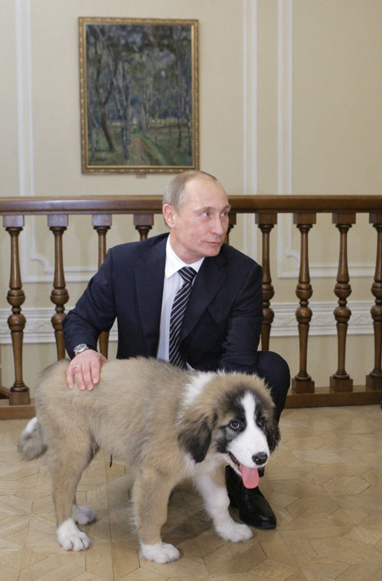 Премьер-министр РФ Владимир Путин познакомился с юным автором клички для своей новой собаки Премьер-министр РФ Владимир Путин познакомился с юным автором клички для своей новой собаки