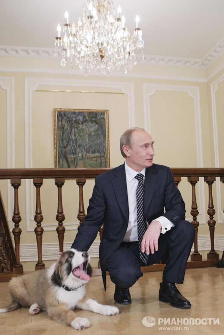 Премьер-министр РФ Владимир Путин познакомился с юным автором клички для своей новой собаки Премьер-министр РФ Владимир Путин познакомился с юным автором клички для своей новой собаки
