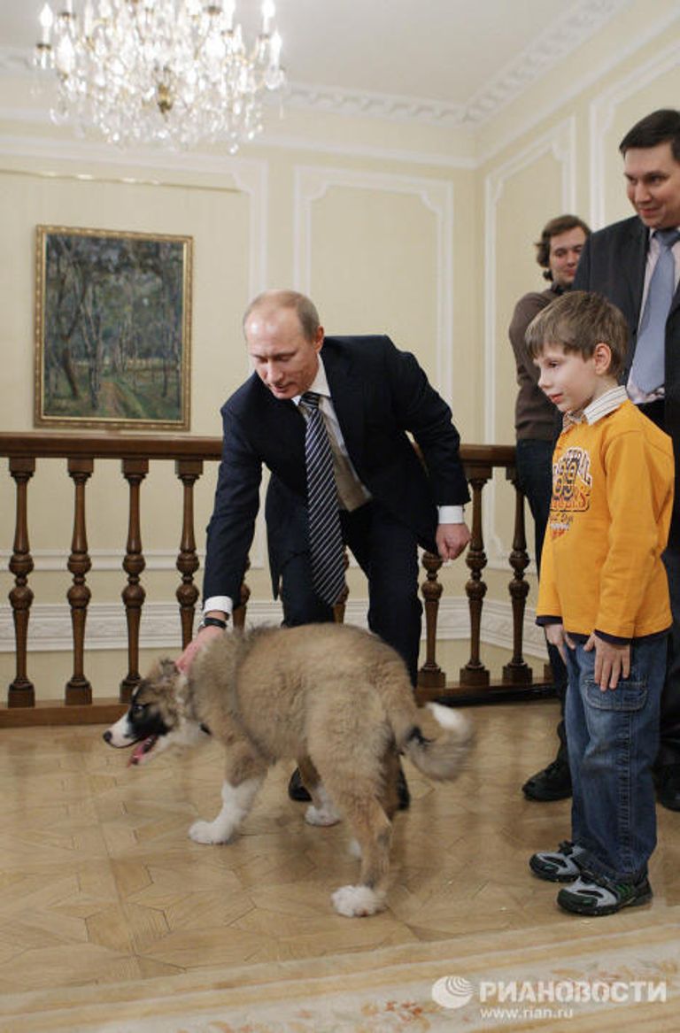 Премьер-министр РФ Владимир Путин познакомился с юным автором клички для своей новой собаки Премьер-министр РФ Владимир Путин познакомился с юным автором клички для своей новой собаки