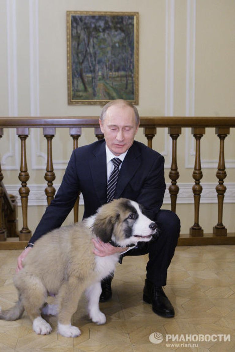 Премьер-министр РФ Владимир Путин познакомился с юным автором клички для своей новой собаки Премьер-министр РФ Владимир Путин познакомился с юным автором клички для своей новой собаки