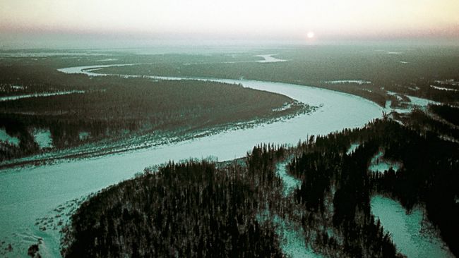 Тайга. Архивное фото Тайга. Архивное фото