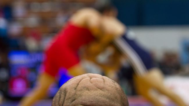 Чемпионат мира по борьбе. Турнир по греко-римской борьбе