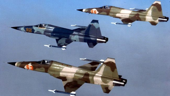 Самолет F-5E. Архивное фото Самолет F-5E. Архивное фото