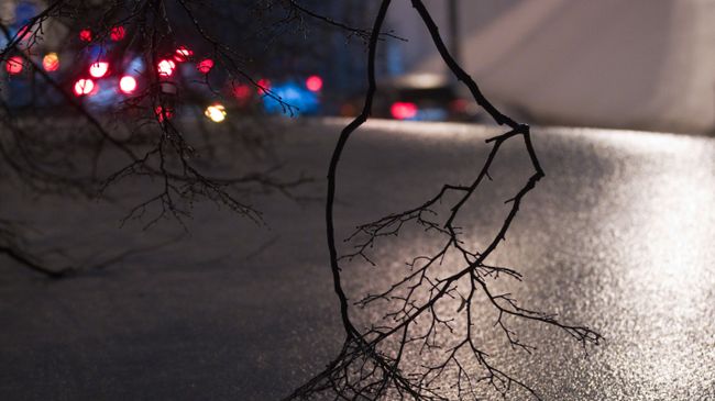 Последствия ледяного дождя
