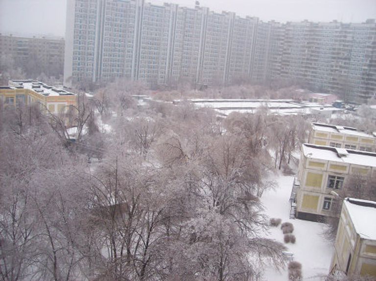 Последствия ледяного дождя в Москве