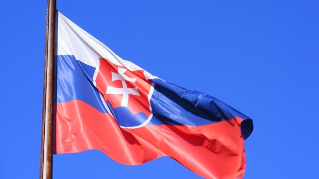 Флаг Словакии 