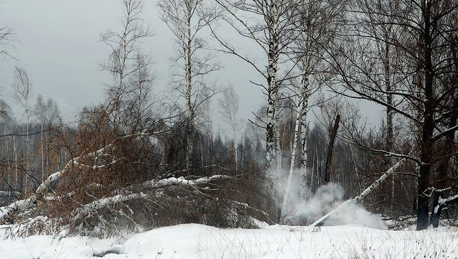 Торфяники продолжают тлеть на юго-востоке Подмосковья Торфяники продолжают тлеть на юго-востоке Подмосковья