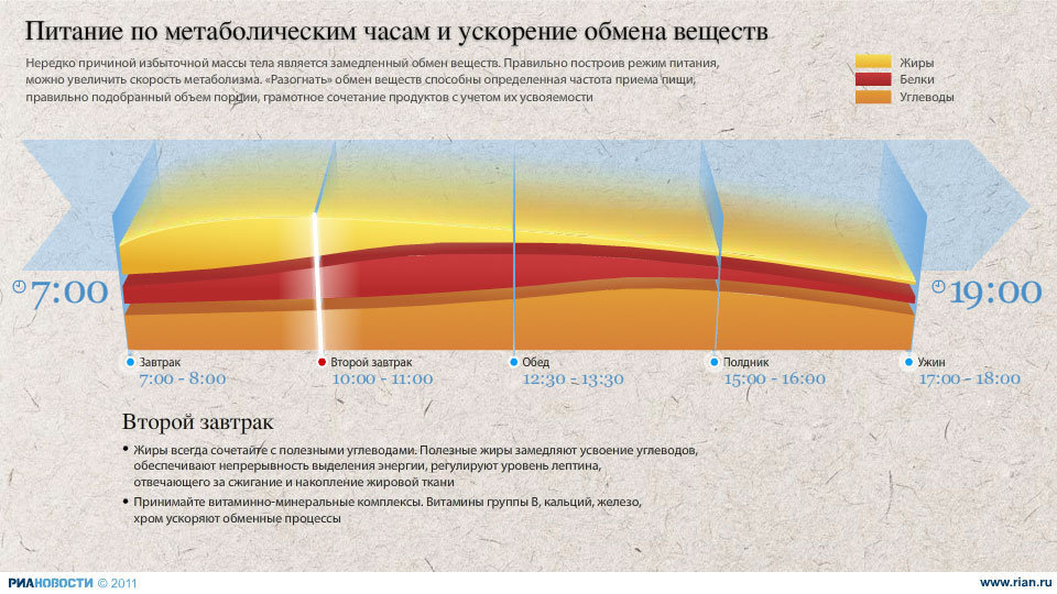 Питание по метаболическим часам
