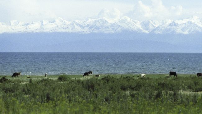 Озеро Иссык-Куль. Архивное фото Озеро Иссык-Куль. Архивное фото