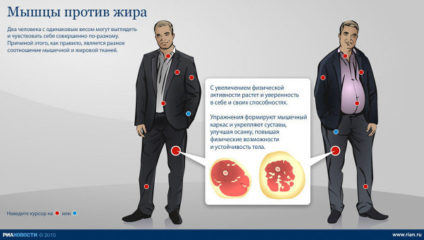 Мышцы против жира