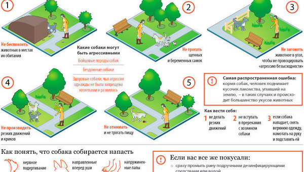 Агрессия у собак: о чем помнить и как защититься