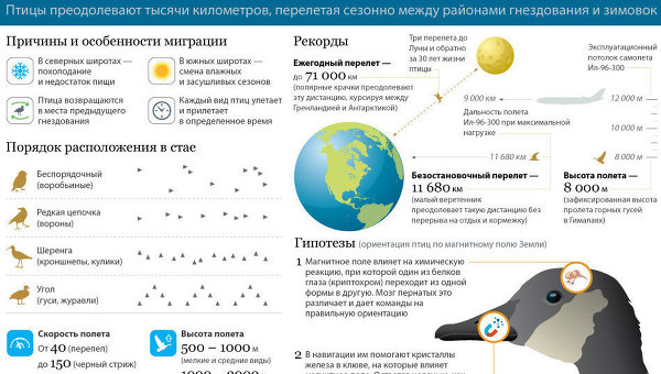 Сезонная миграция птиц Сезонная миграция птиц