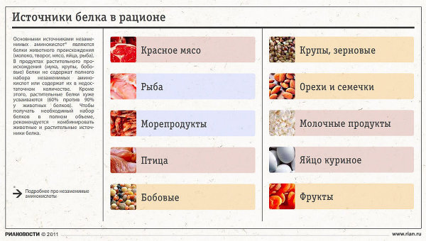 Источники белка в рационе