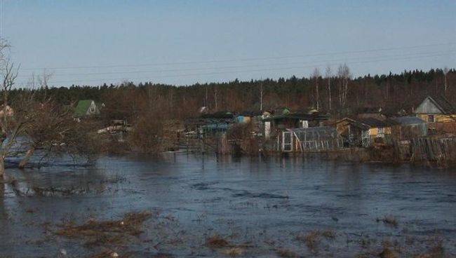 Половодье в Петербурге