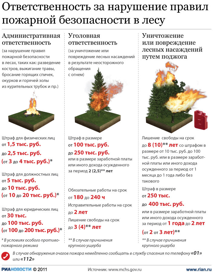 Ответственность за нарушение правил пожарной безопасности в лесу